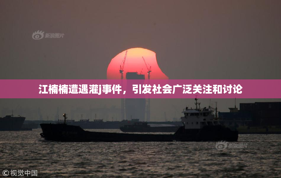 江楠楠遭遇灌j事件，引发社会广泛关注和讨论