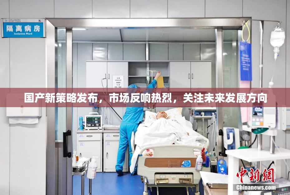 国产新策略发布，市场反响热烈，关注未来发展方向