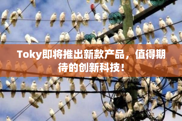 Toky即将推出新款产品，值得期待的创新科技！