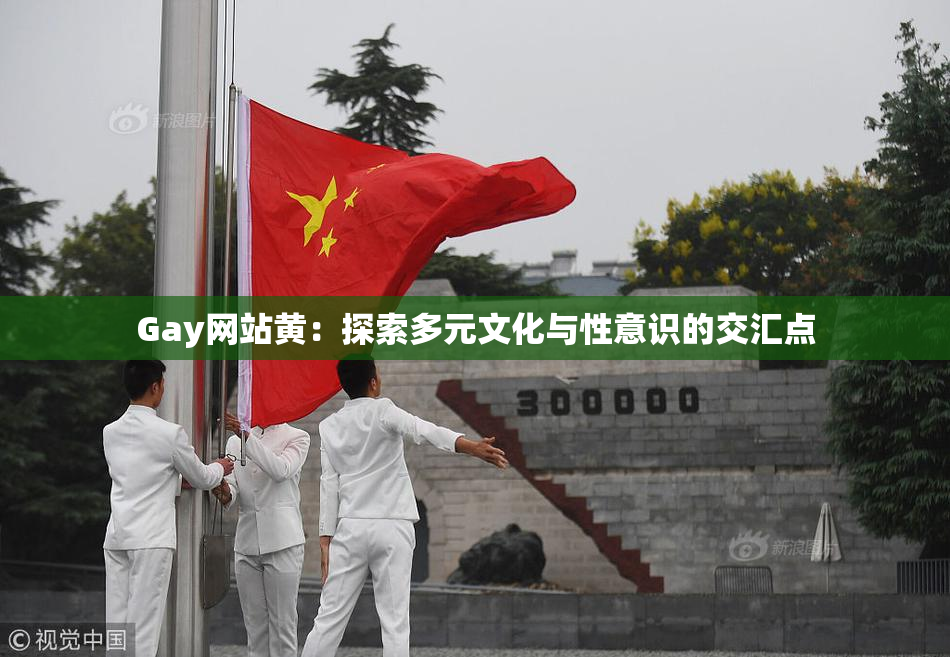 Gay网站黄：探索多元文化与性意识的交汇点