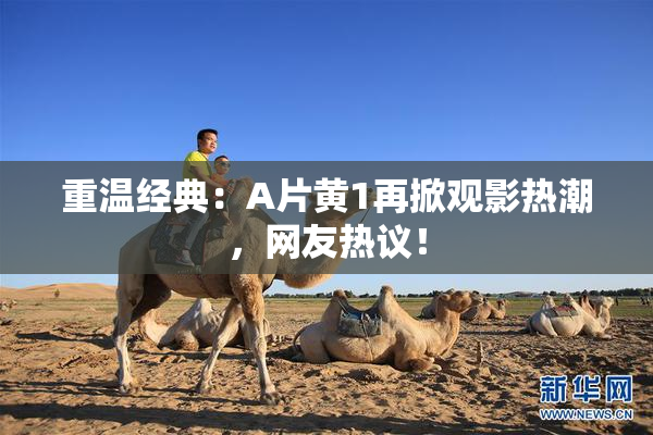 重温经典：A片黄1再掀观影热潮，网友热议！