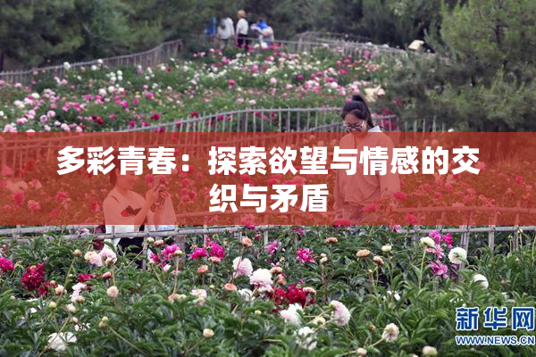 多彩青春：探索欲望与情感的交织与矛盾