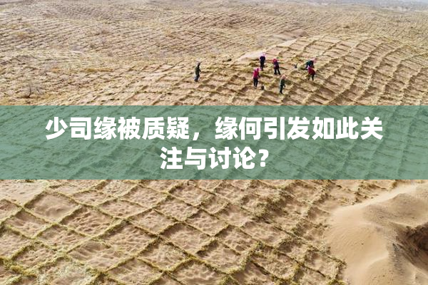 少司缘被质疑，缘何引发如此关注与讨论？