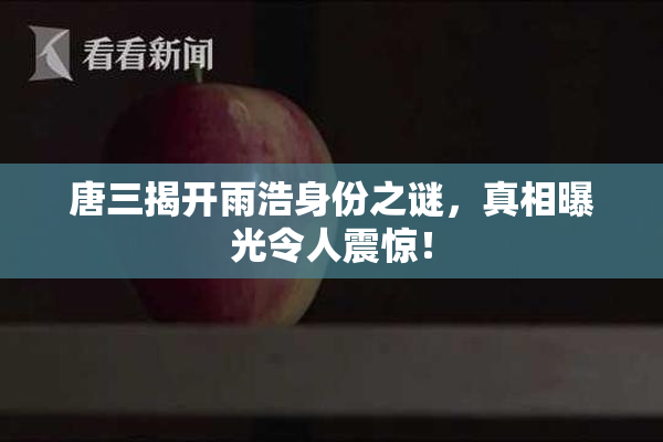 唐三揭开雨浩身份之谜，真相曝光令人震惊！