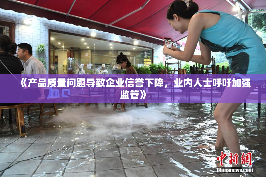 《产品质量问题导致企业信誉下降，业内人士呼吁加强监管》