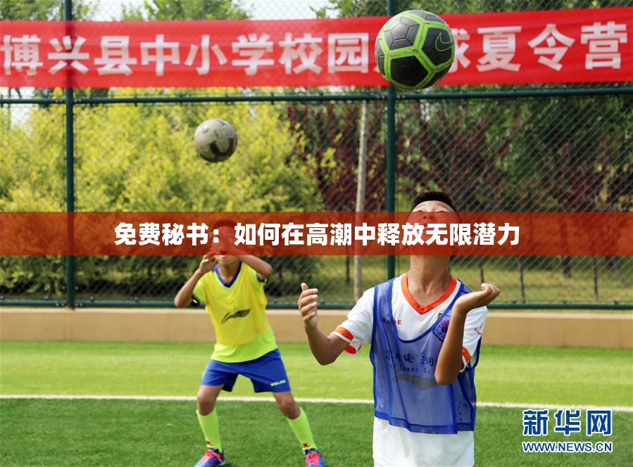 免费秘书：如何在高潮中释放无限潜力