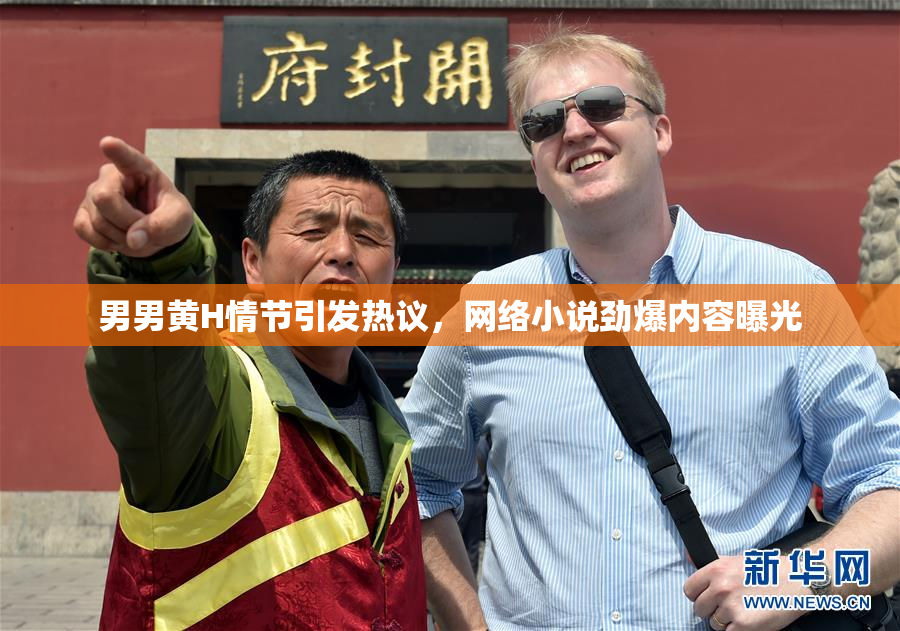 男男黄H情节引发热议，网络小说劲爆内容曝光