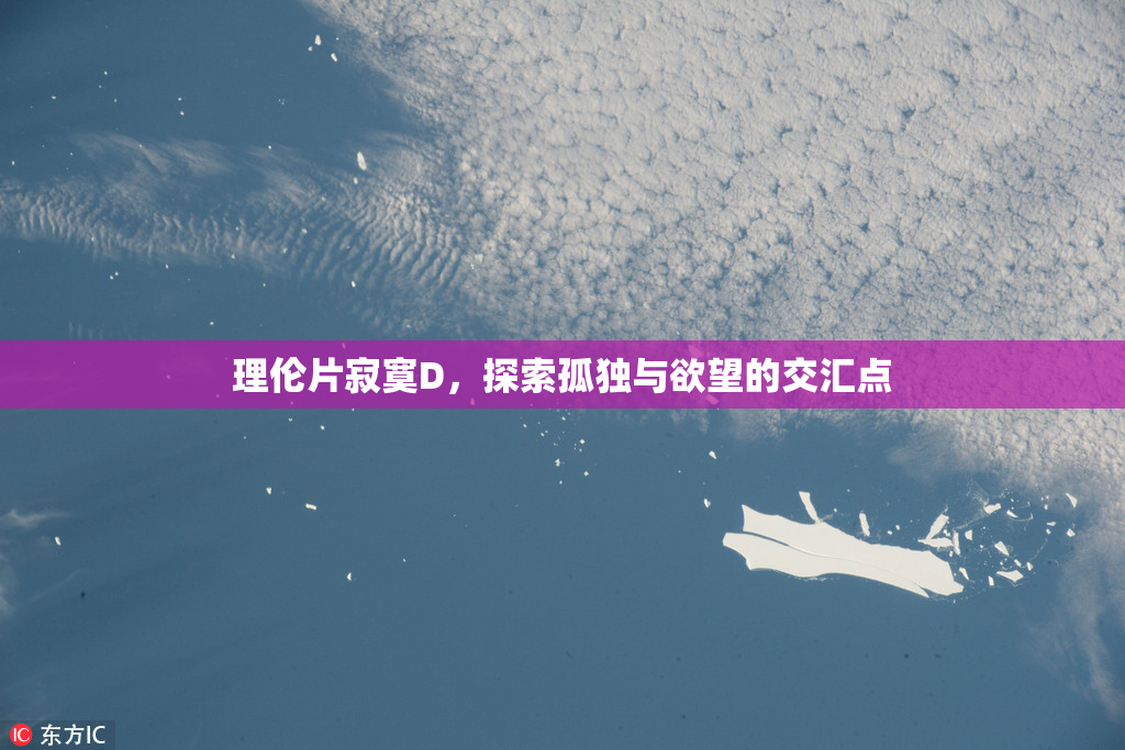 理伦片寂寞D，探索孤独与欲望的交汇点