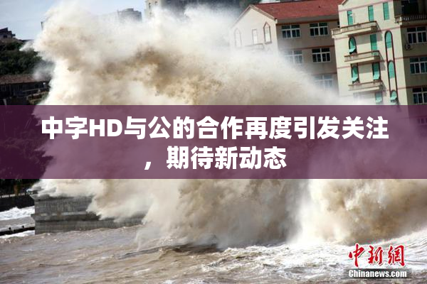 中字HD与公的合作再度引发关注，期待新动态