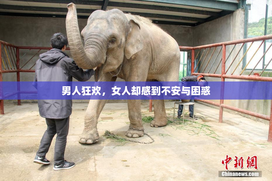 男人狂欢，女人却感到不安与困惑
