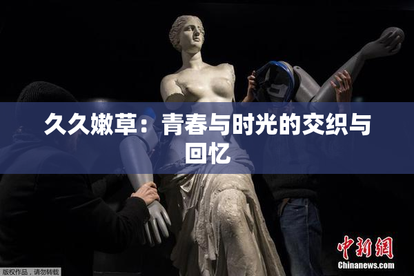 久久嫩草：青春与时光的交织与回忆