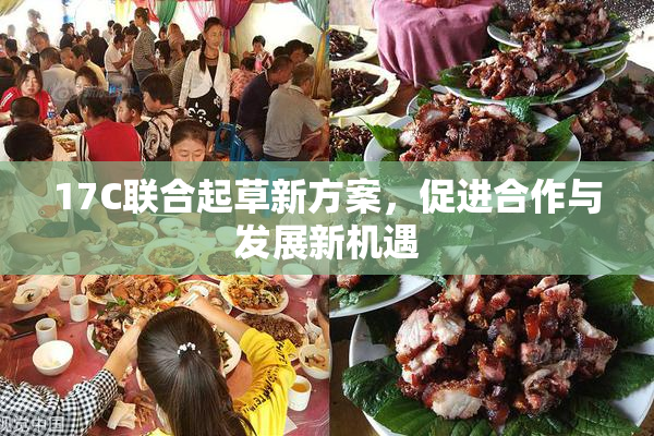 17C联合起草新方案，促进合作与发展新机遇
