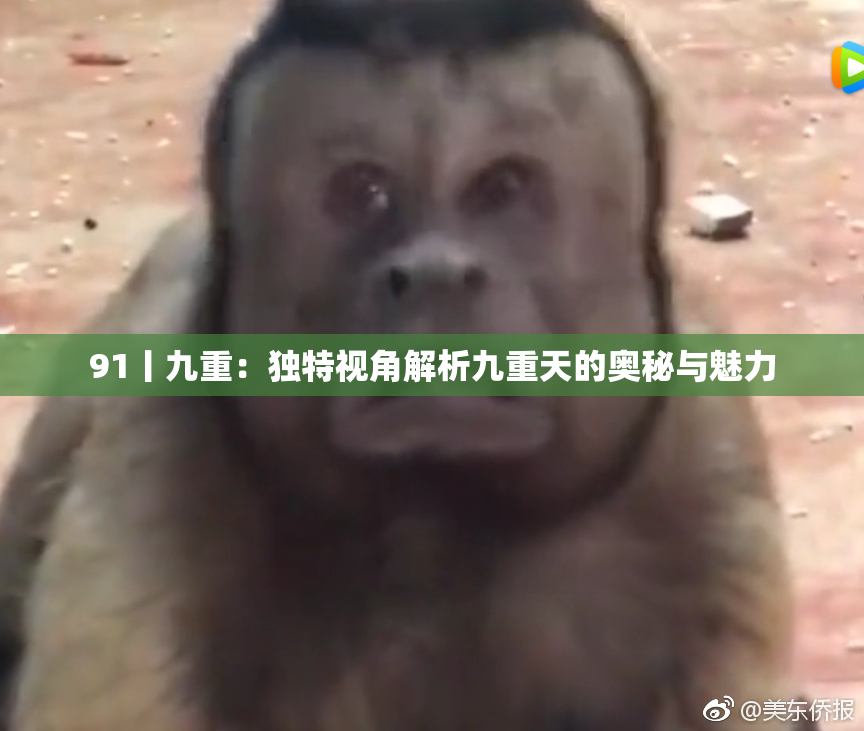 91丨九重：独特视角解析九重天的奥秘与魅力