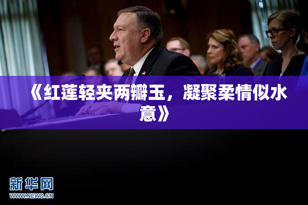 《红莲轻夹两瓣玉，凝聚柔情似水意》