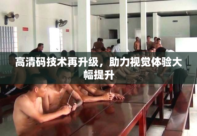 高清码技术再升级，助力视觉体验大幅提升