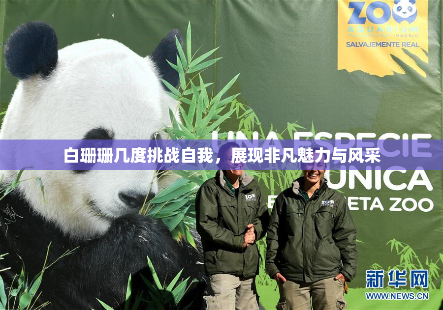 白珊珊几度挑战自我，展现非凡魅力与风采