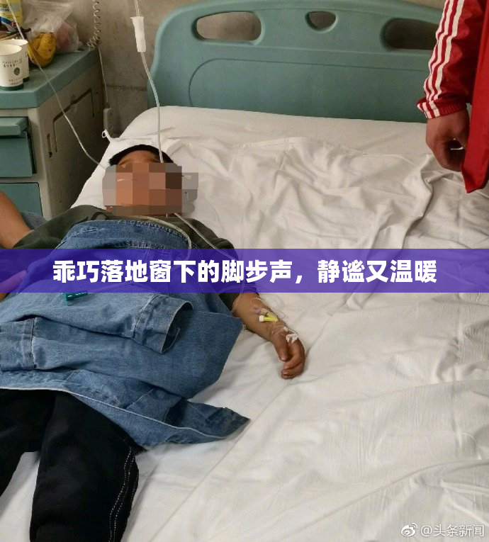 乖巧落地窗下的脚步声，静谧又温暖