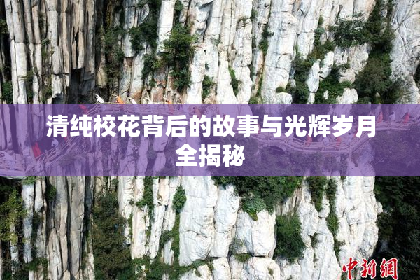 清纯校花背后的故事与光辉岁月全揭秘