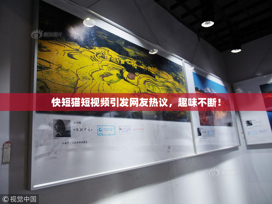 快短猫短视频引发网友热议，趣味不断！