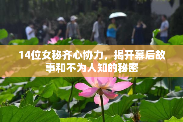 14位女秘齐心协力，揭开幕后故事和不为人知的秘密