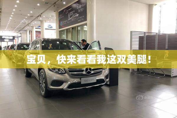 宝贝，快来看看我这双美腿！
