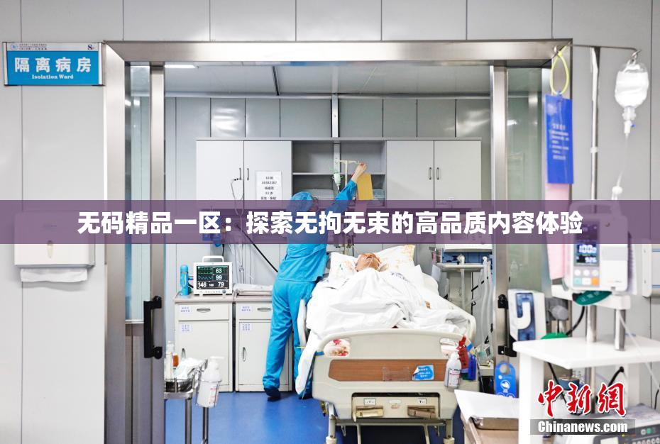 无码精品一区：探索无拘无束的高品质内容体验