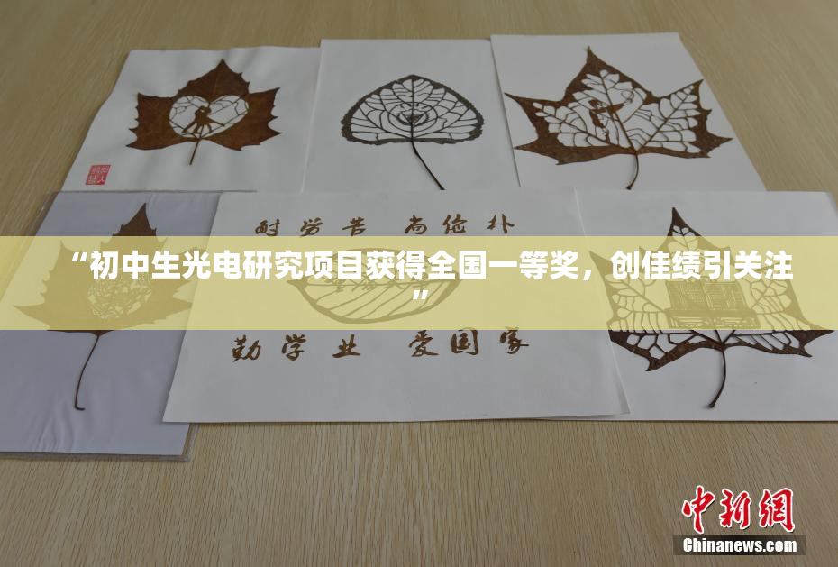 “初中生光电研究项目获得全国一等奖，创佳绩引关注”