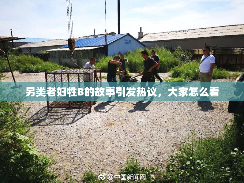 另类老妇牲B的故事引发热议，大家怎么看