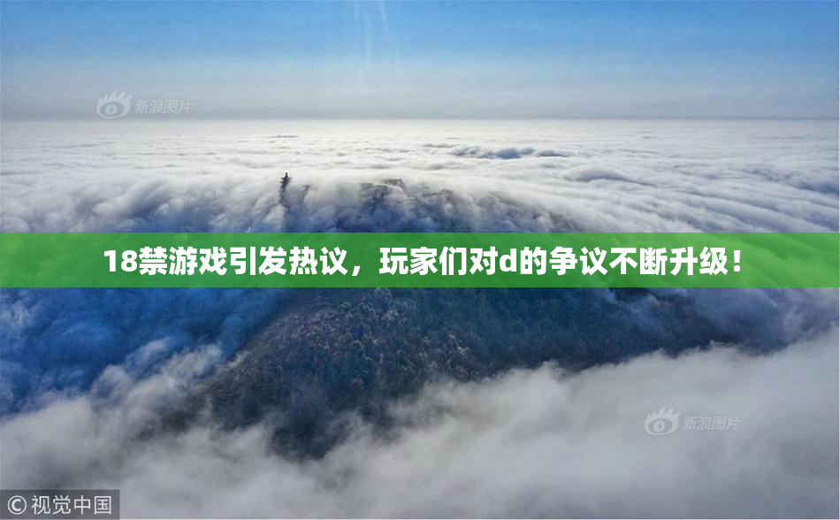 18禁游戏引发热议，玩家们对d的争议不断升级！