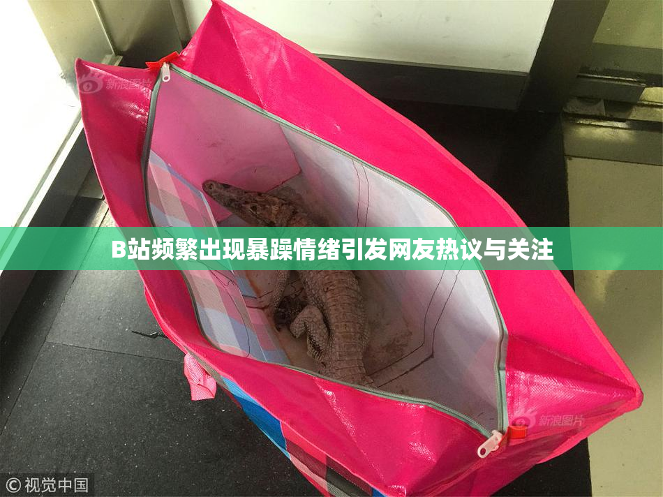 B站频繁出现暴躁情绪引发网友热议与关注