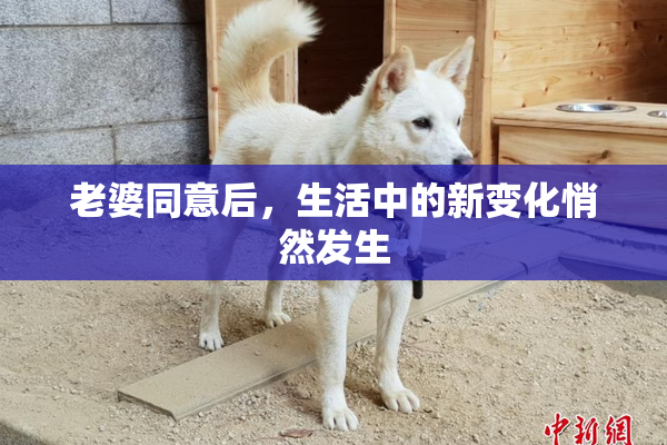 老婆同意后，生活中的新变化悄然发生