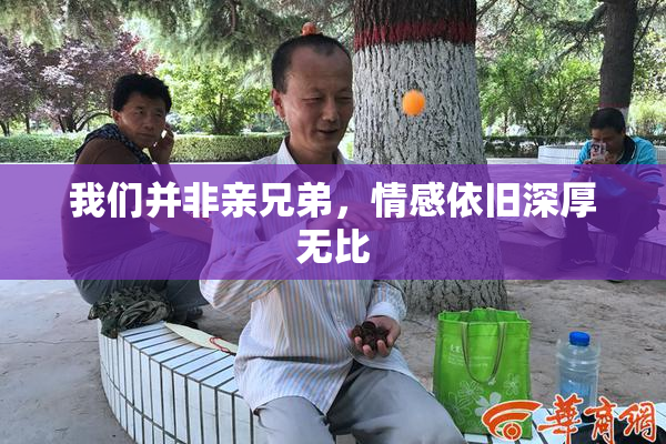我们并非亲兄弟，情感依旧深厚无比