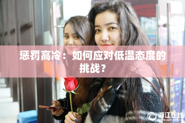惩罚高冷：如何应对低温态度的挑战？