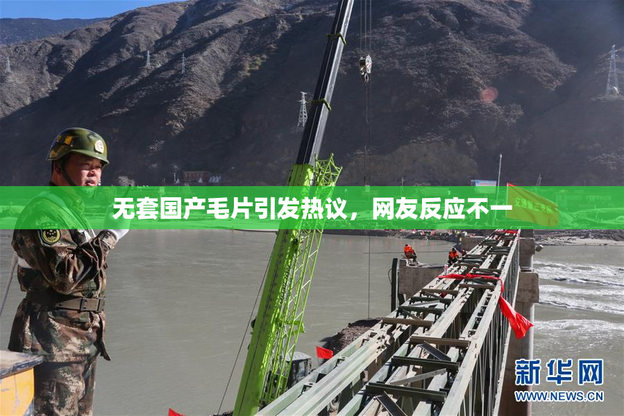 无套国产毛片引发热议，网友反应不一