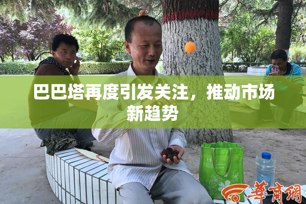 巴巴塔再度引发关注，推动市场新趋势