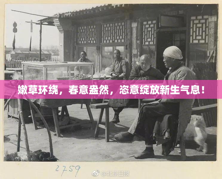 嫩草环绕，春意盎然，恣意绽放新生气息！