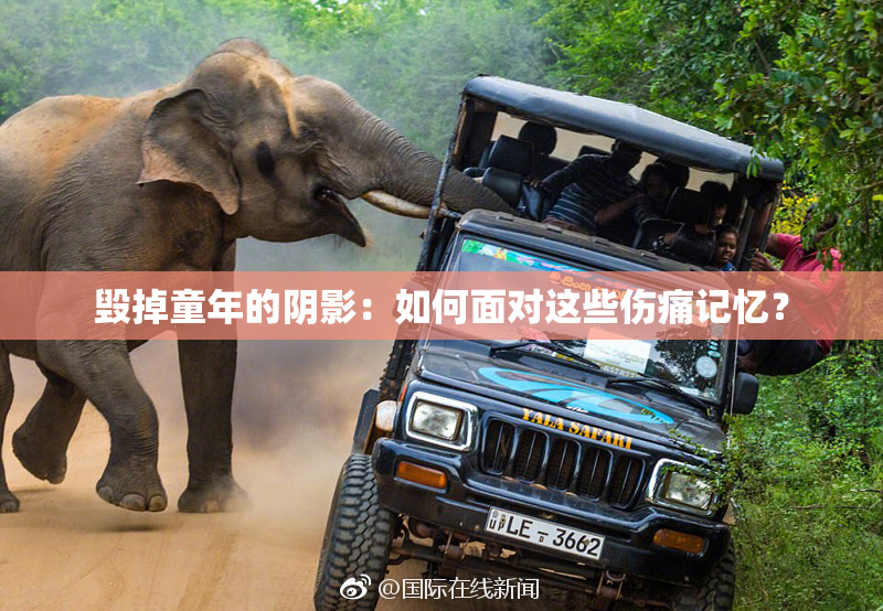 毁掉童年的阴影：如何面对这些伤痛记忆？