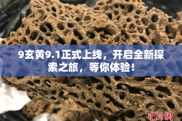 9玄黄9.1正式上线，开启全新探索之旅，等你体验！