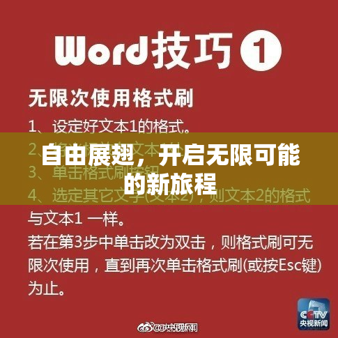 自由展翅，开启无限可能的新旅程