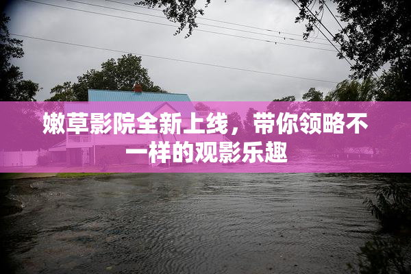 嫩草影院全新上线，带你领略不一样的观影乐趣