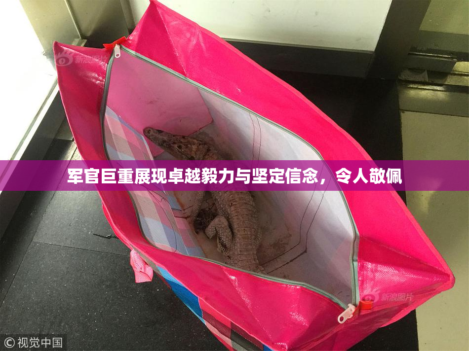 军官巨重展现卓越毅力与坚定信念，令人敬佩
