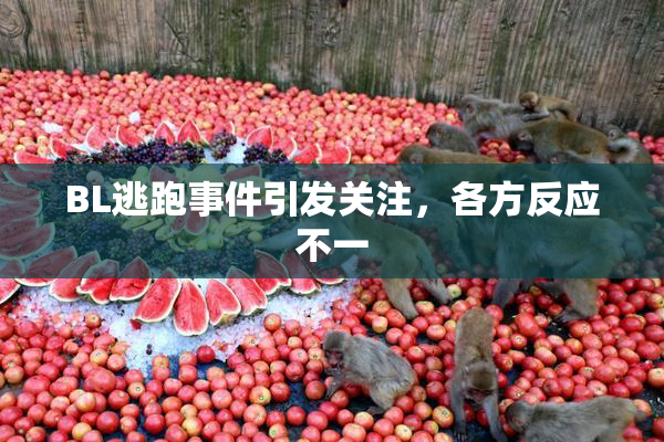 BL逃跑事件引发关注，各方反应不一