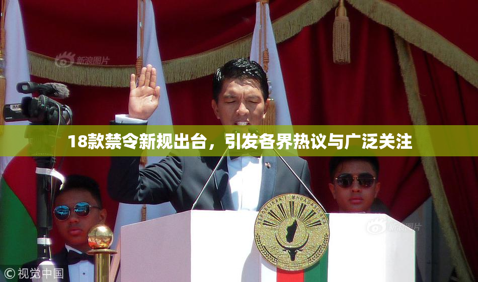 18款禁令新规出台，引发各界热议与广泛关注