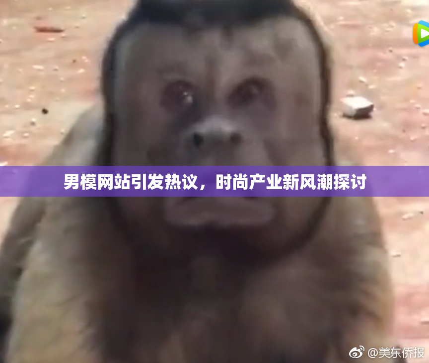 男模网站引发热议，时尚产业新风潮探讨
