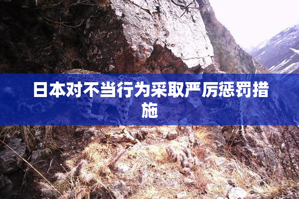 日本对不当行为采取严厉惩罚措施