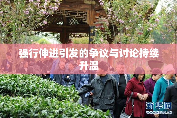 强行伸进引发的争议与讨论持续升温