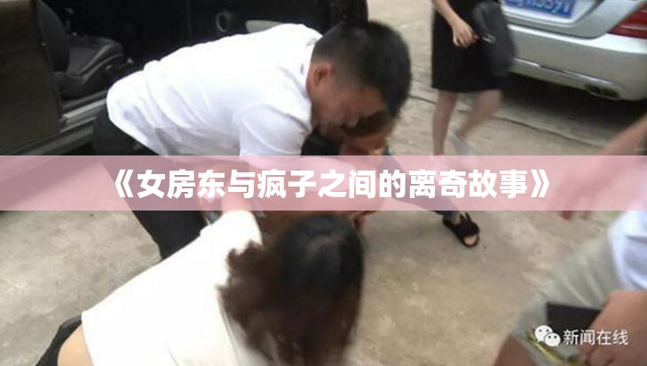 《女房东与疯子之间的离奇故事》