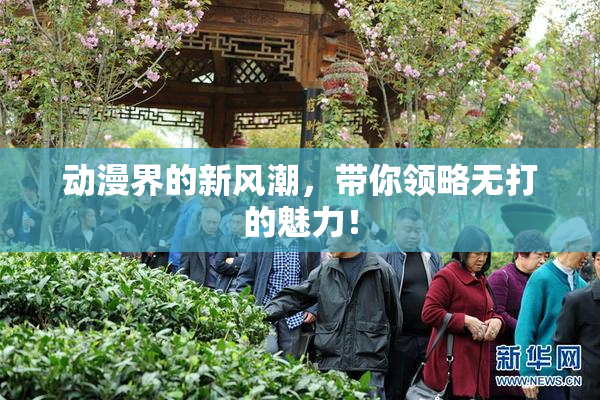 动漫界的新风潮，带你领略无打的魅力！