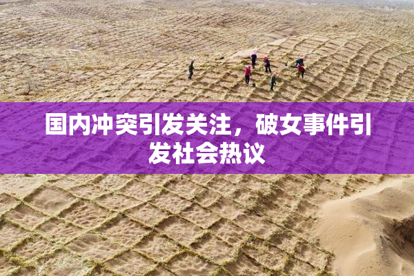 国内冲突引发关注，破女事件引发社会热议