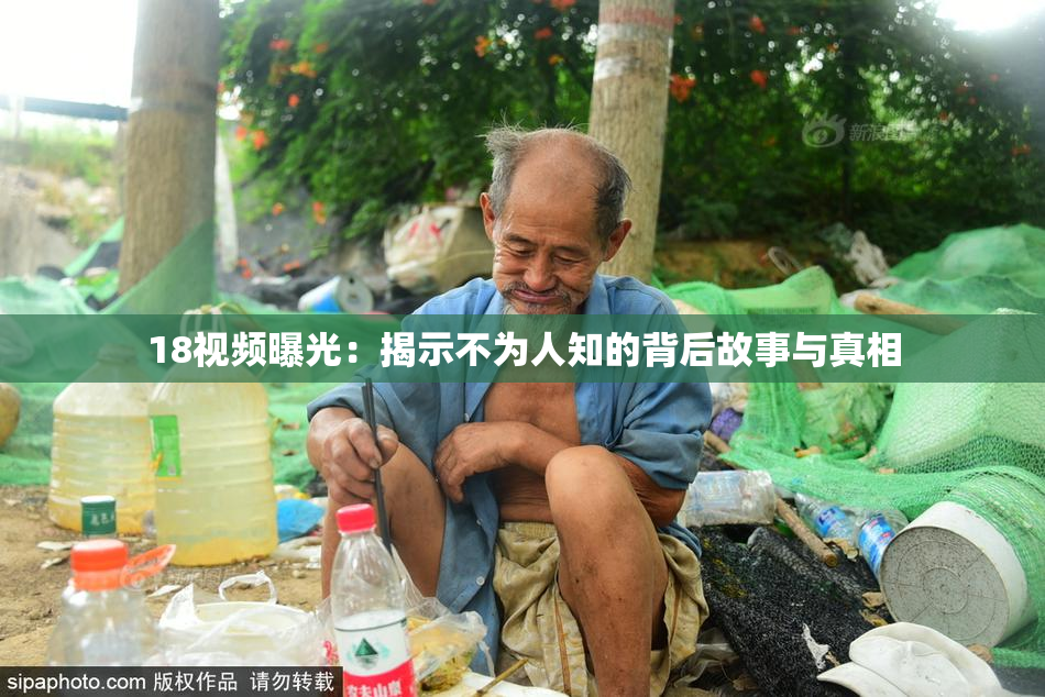 18视频曝光：揭示不为人知的背后故事与真相